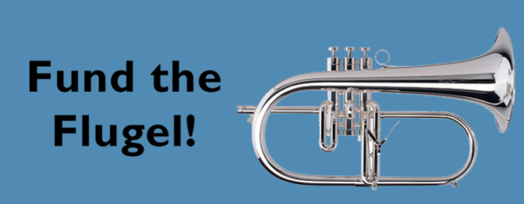 Help us Fund the Flugel!